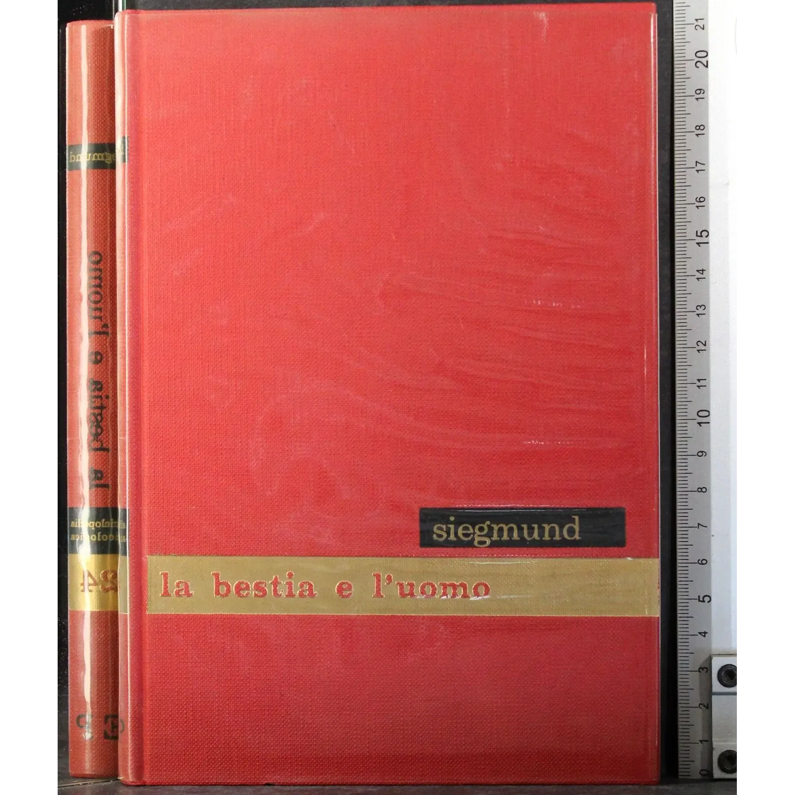 Enciclopedia psicologica 24. La bestia e l'uomo