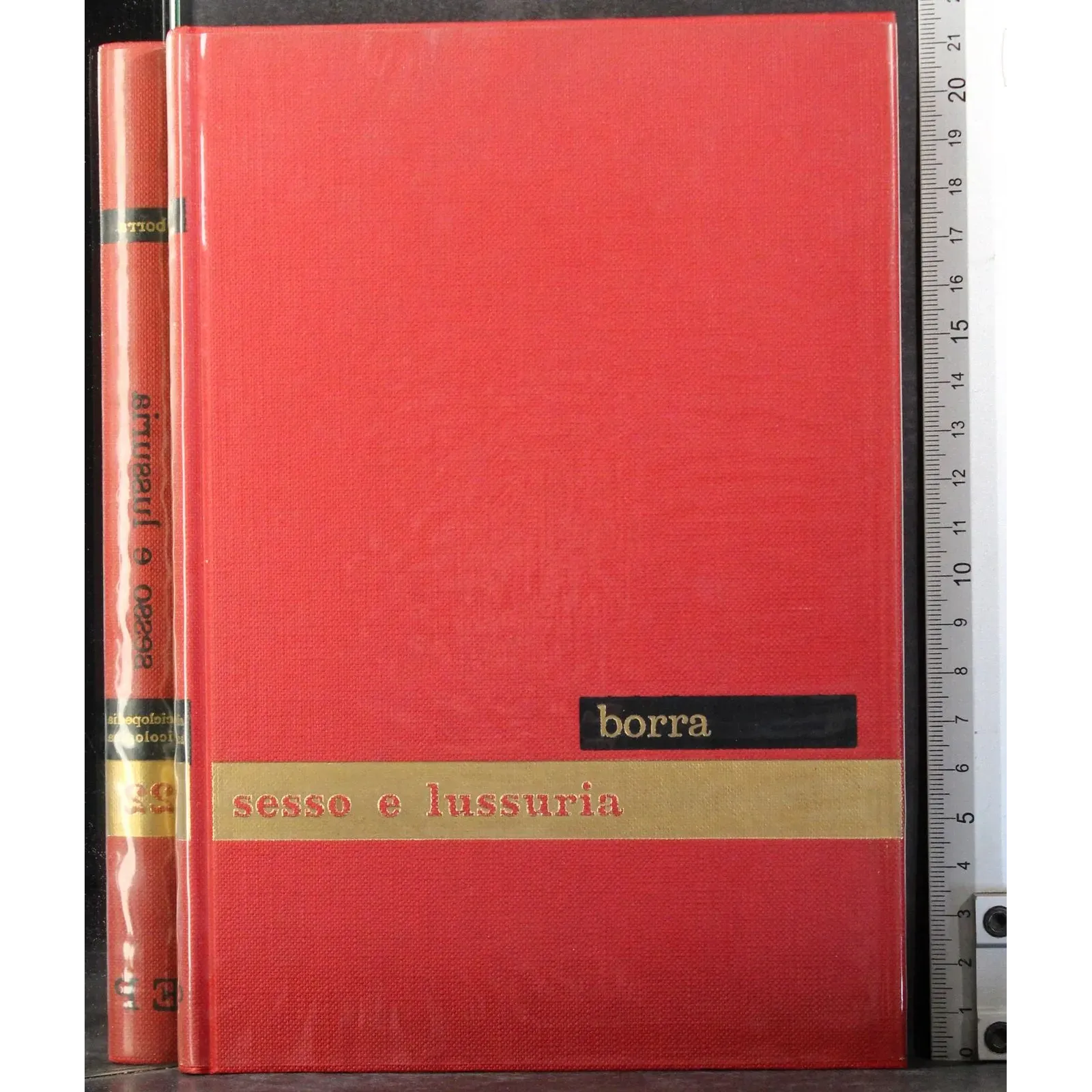 Enciclopedia psicologica 22. sesso e lussuria