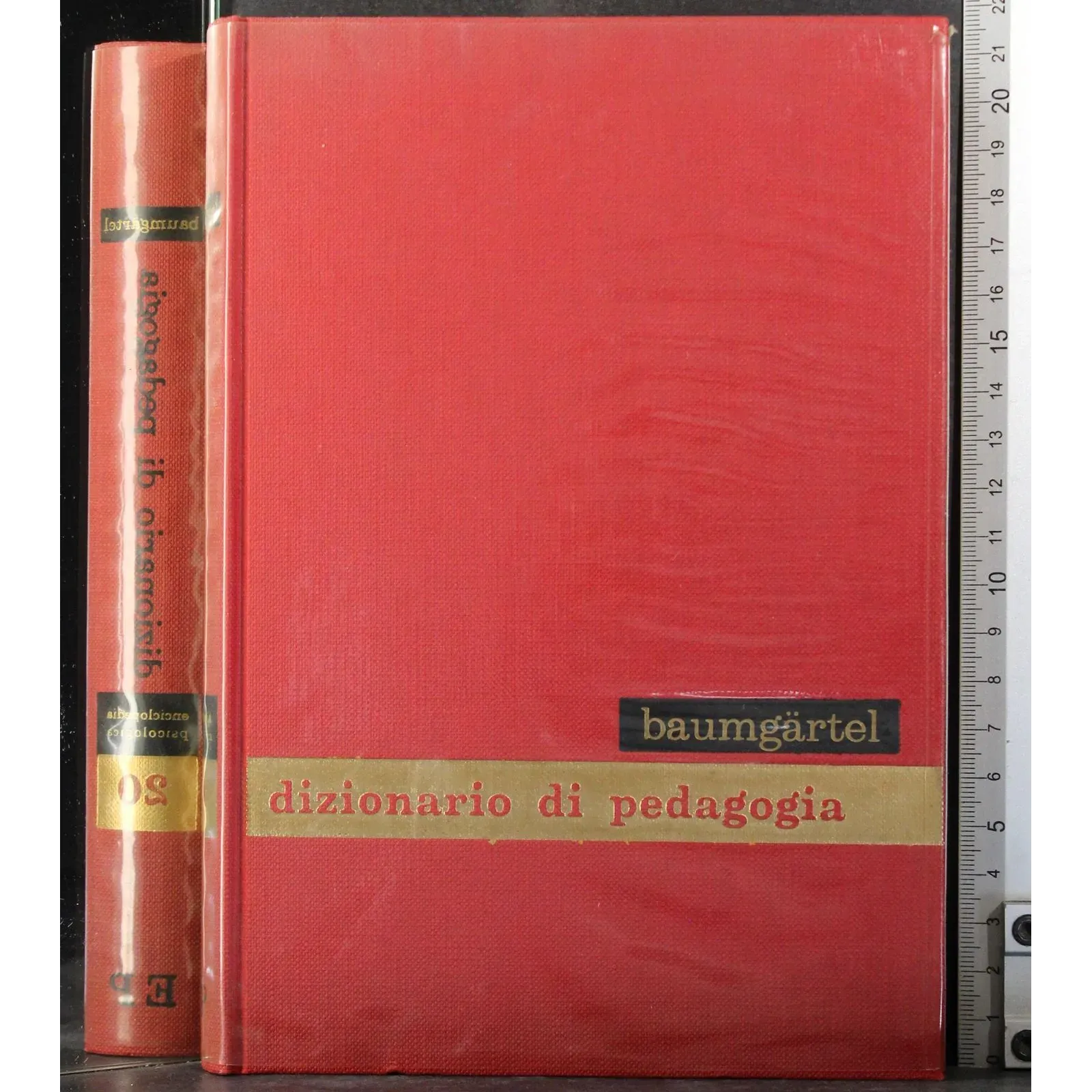 Enciclopedia psicologica 20. Dizionario della pedagogia