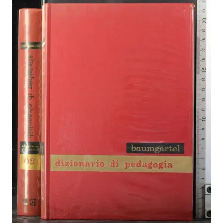 Enciclopedia psicologica 20. Dizionario della pedagogia
