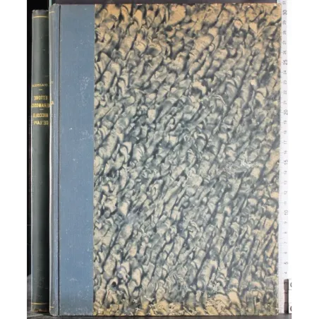 Ettore Fieramosca. La disfida di Barletta