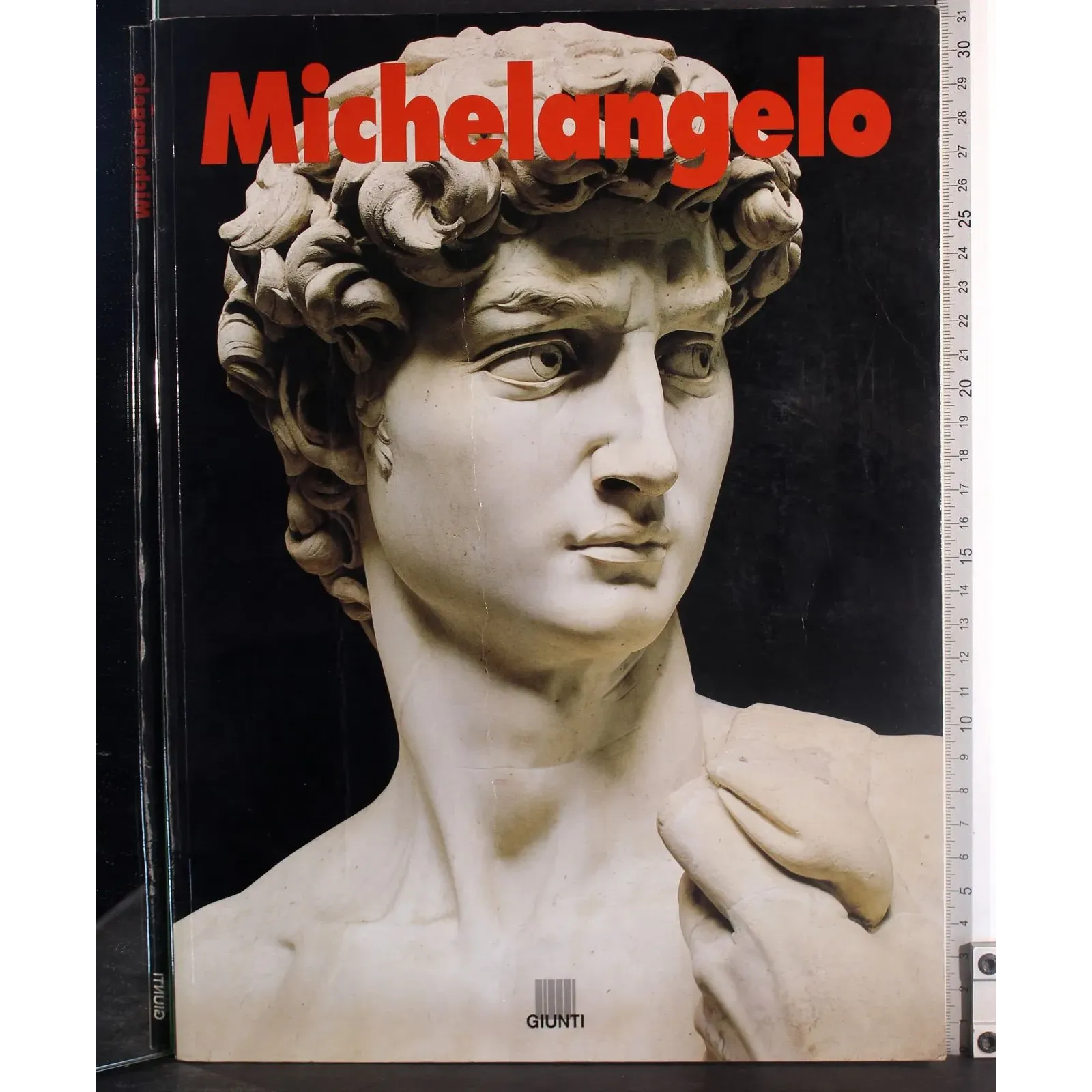 Michelangelo
