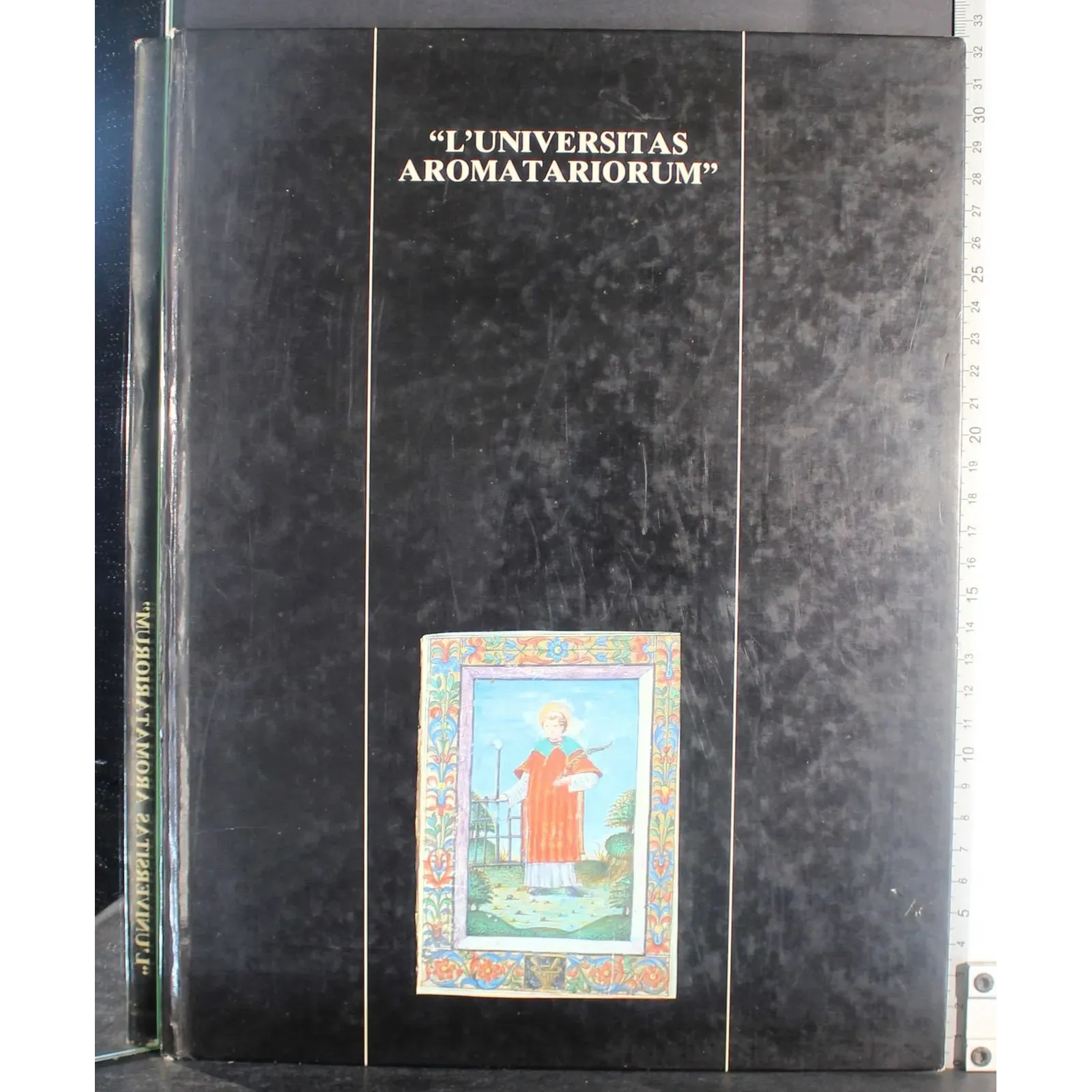 L'Universitas Aromatariorum