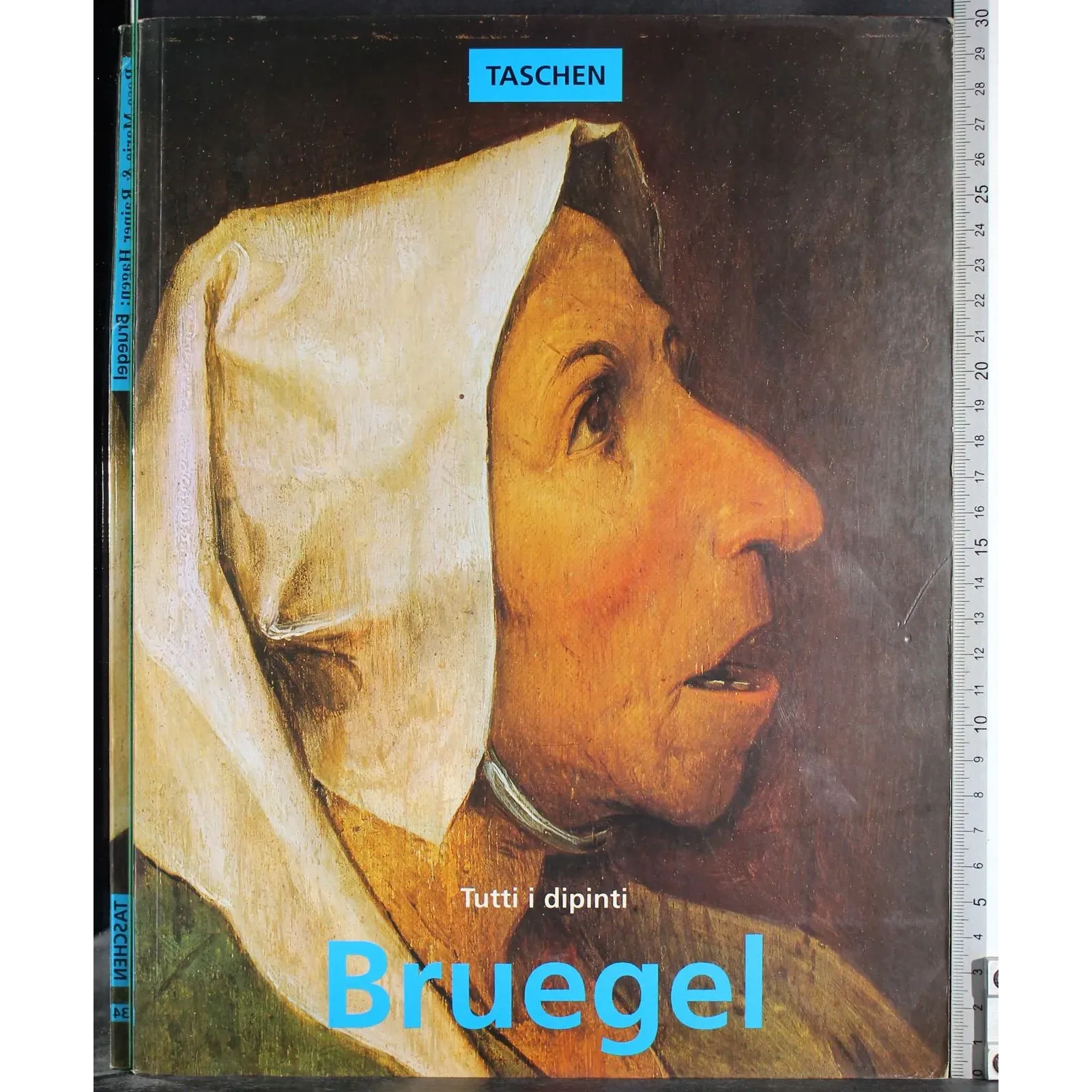 Tutti i dipinti. Bruegel