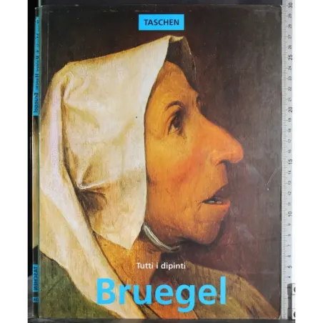 Tutti i dipinti. Bruegel