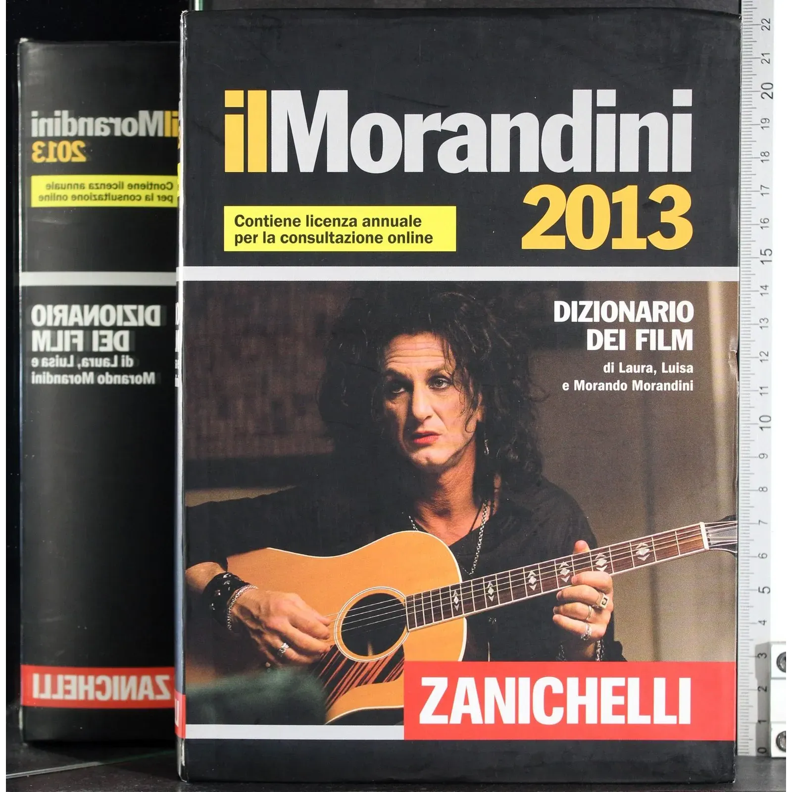 Il Morandini 2013
