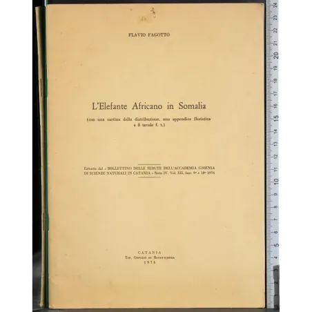 L'Elefante Africano in Somalia
