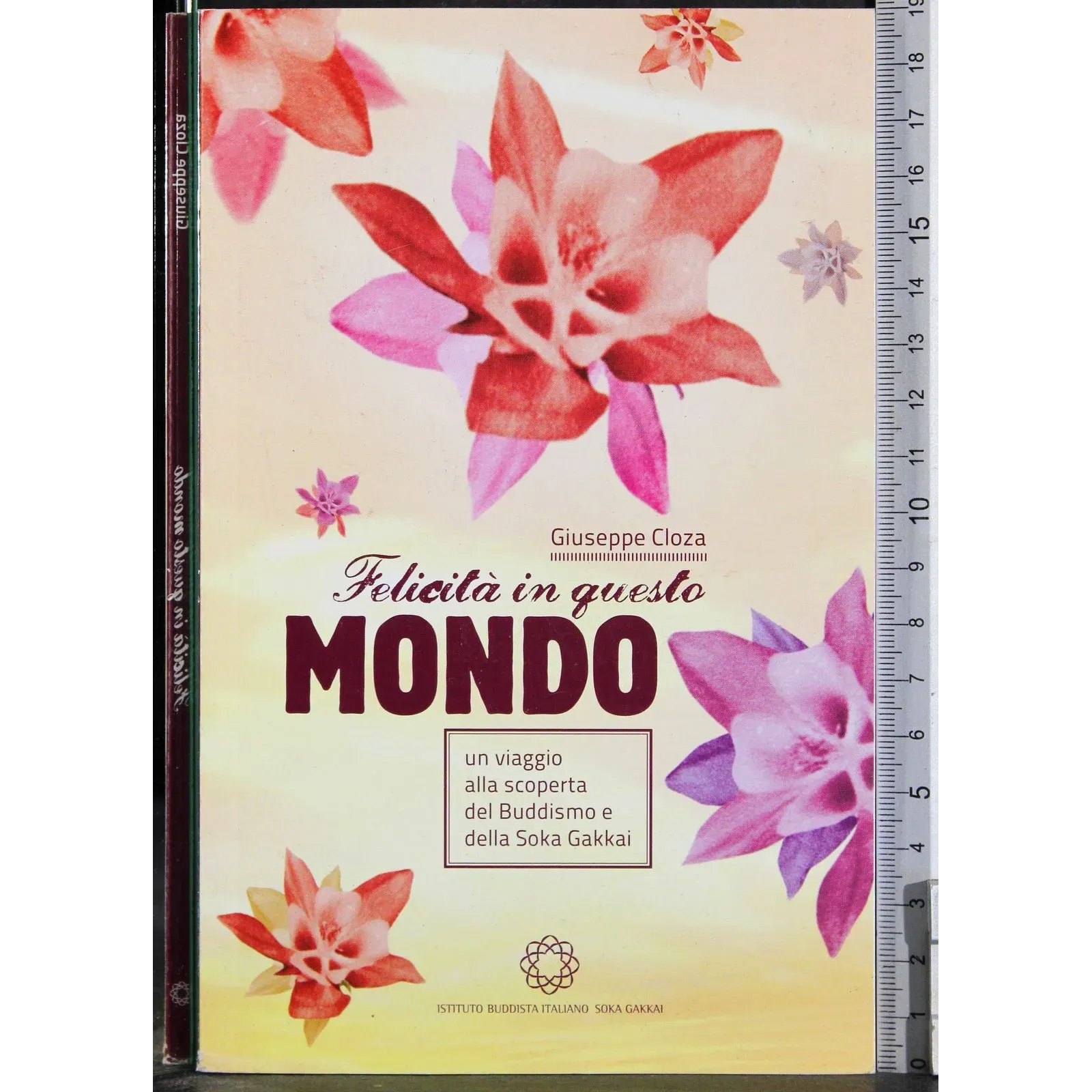 Felicità in questo mondo