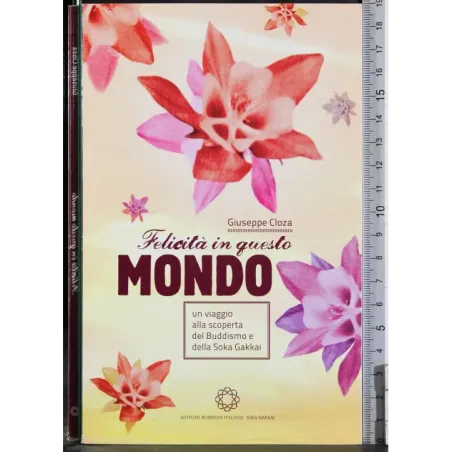 Felicità in questo mondo