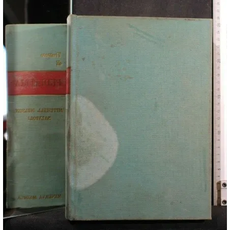 TRATTATO DI PEDIATRIA. MITCHELL E NELSON. MINERVA MEDICA.