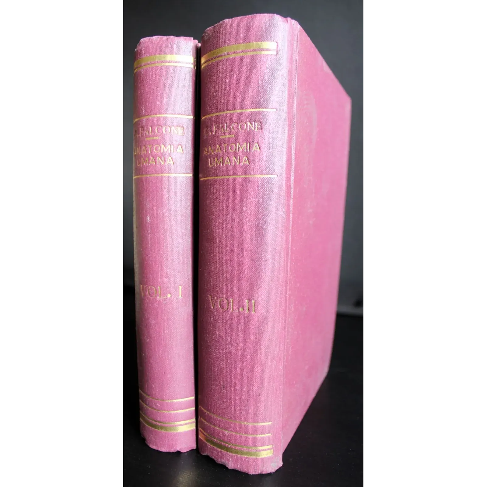 Anatomia umana. Vol 1-2