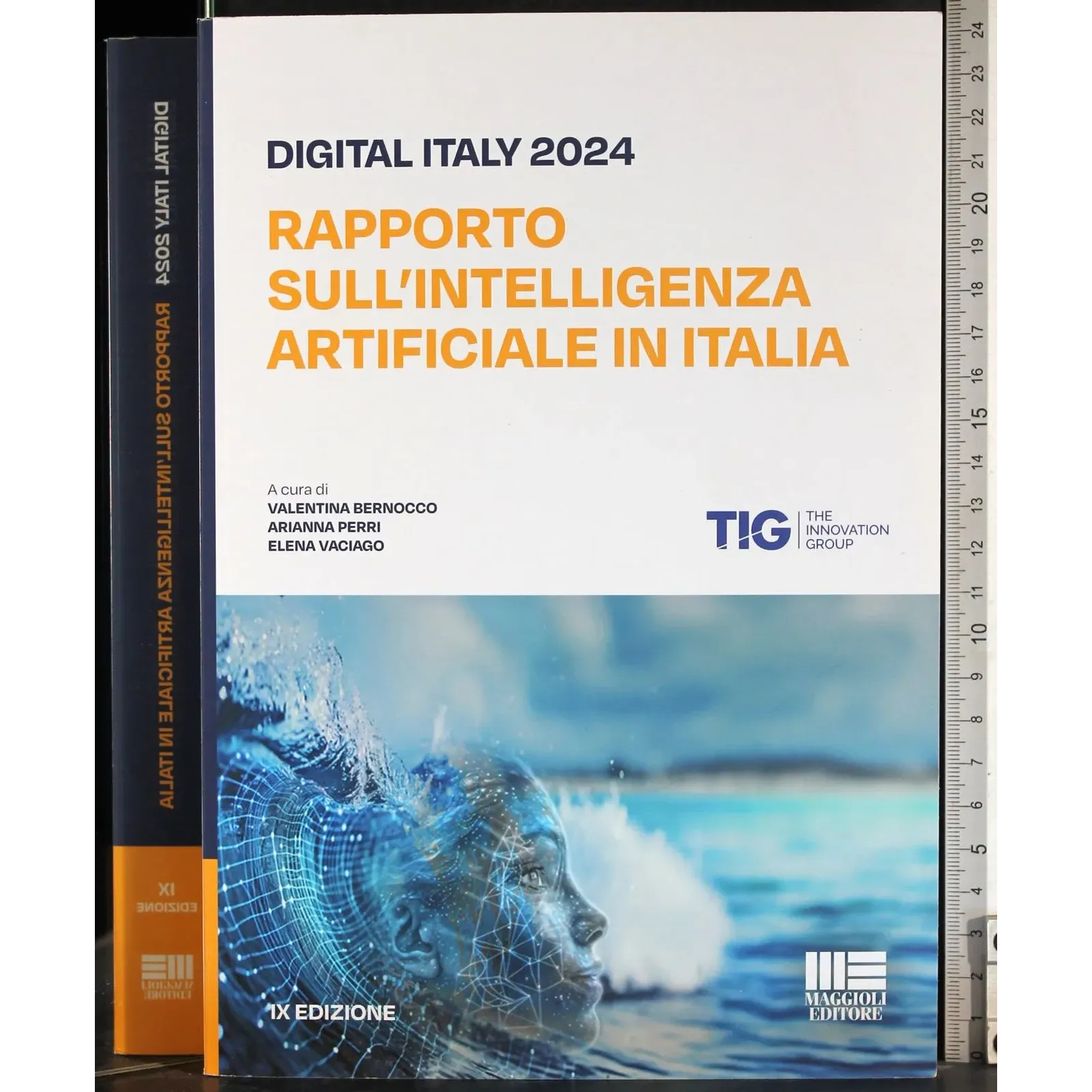 Rapporto sull'inteligenza artificiale in Italia