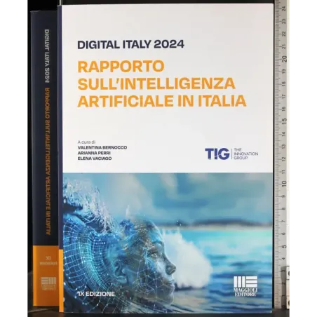 Rapporto sull'inteligenza artificiale in Italia