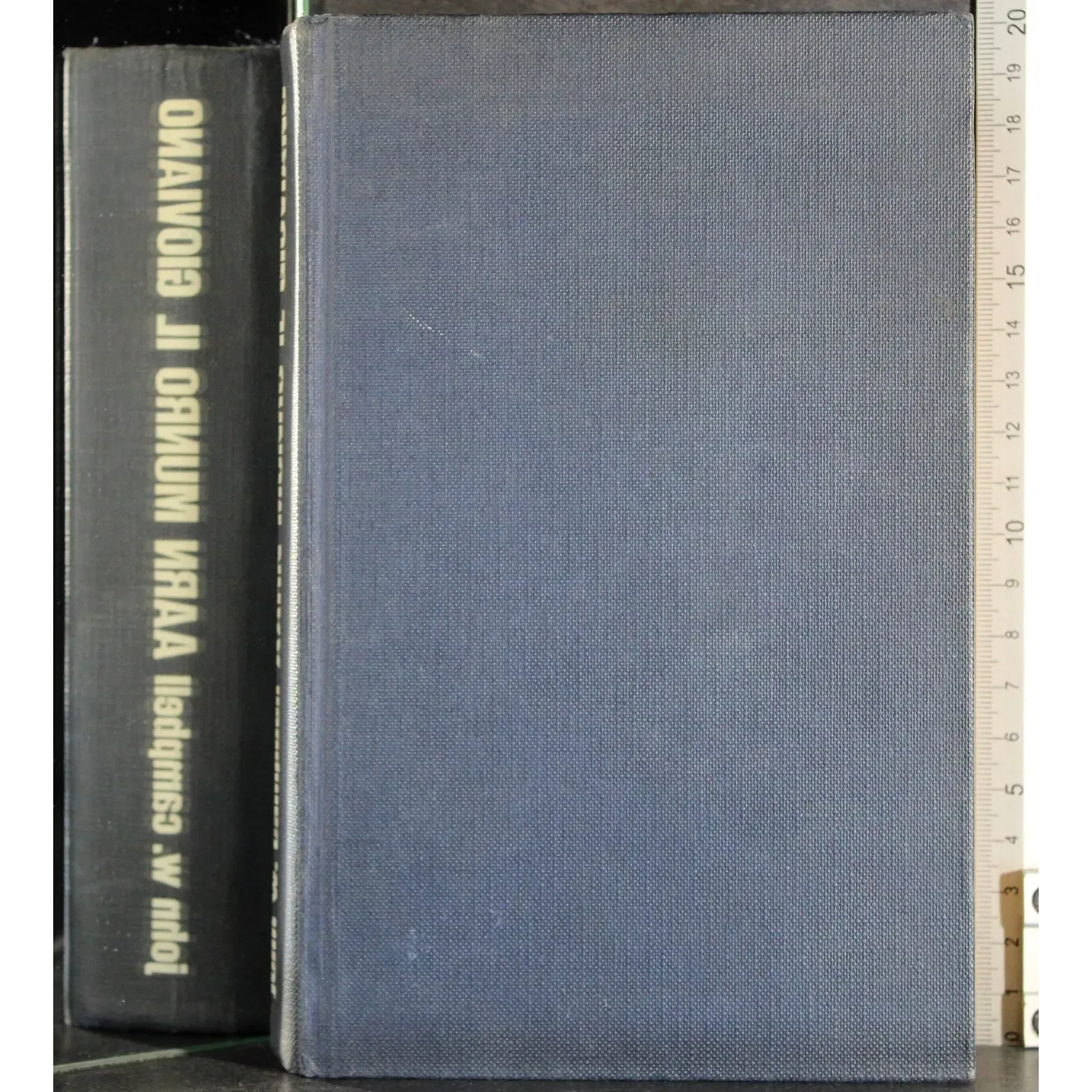 AARN Munro il gioviano