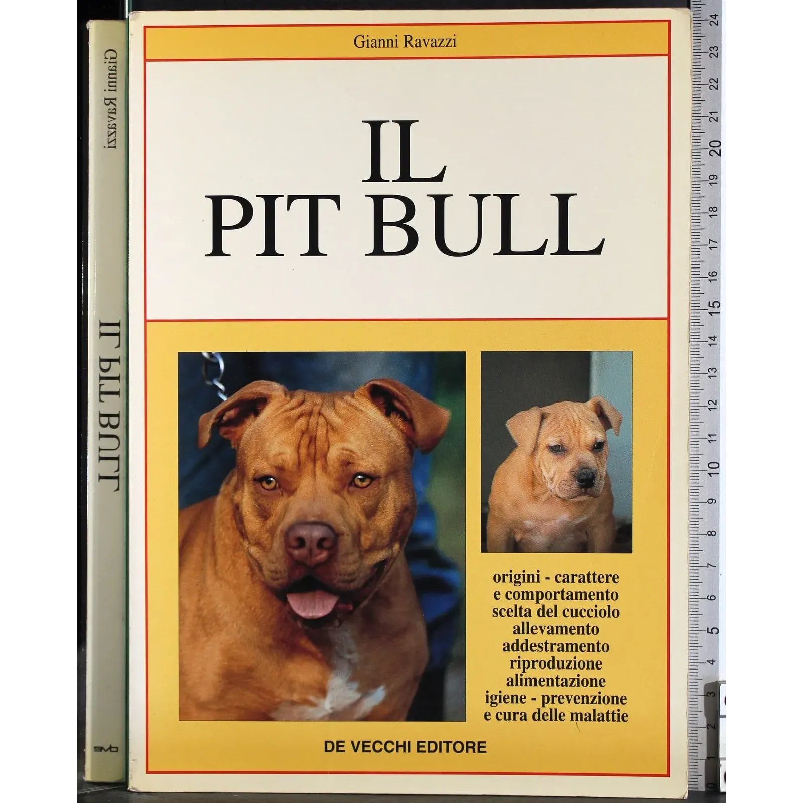 Il Pit Bull