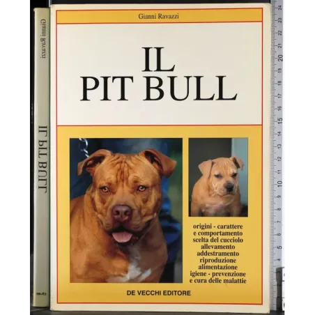 Il Pit Bull