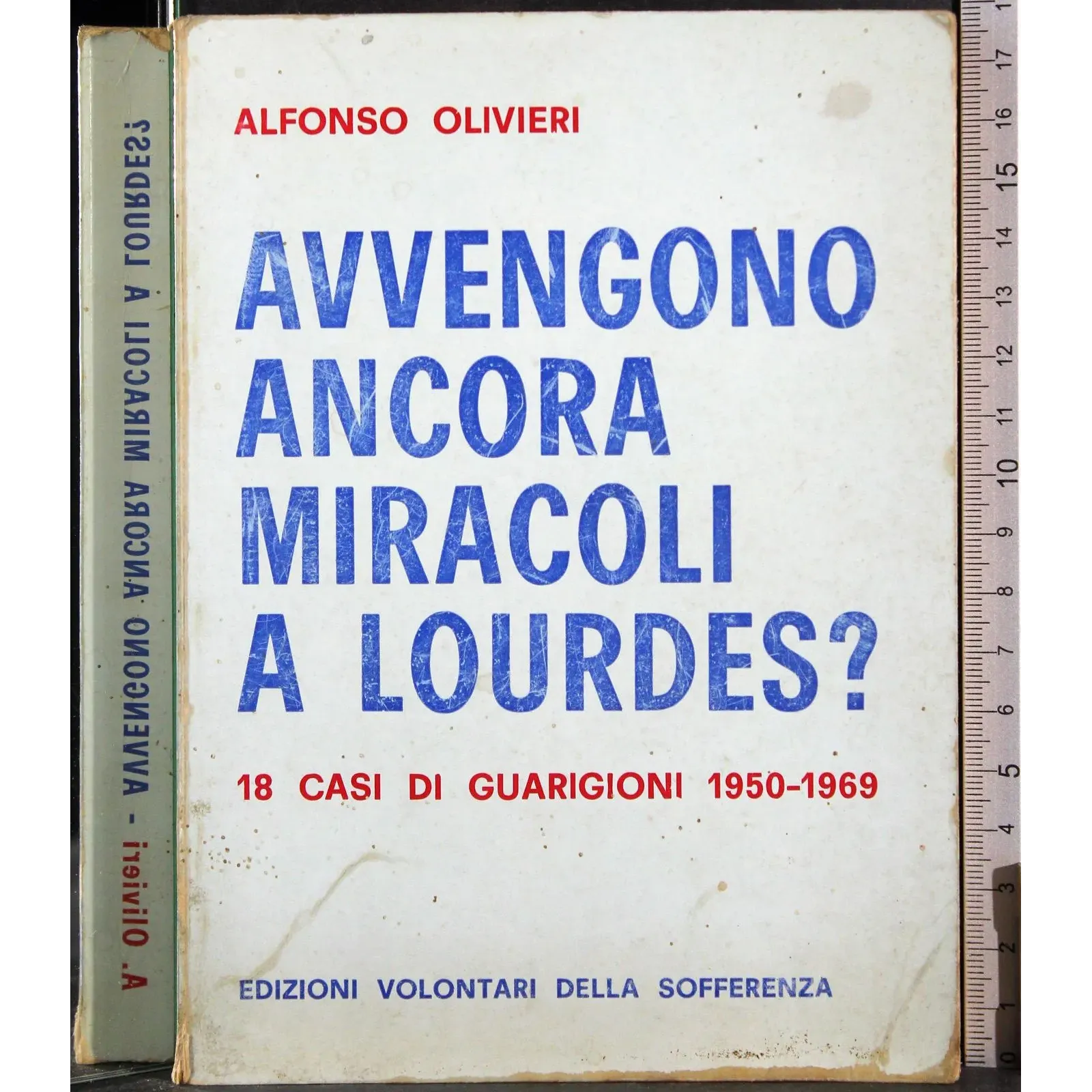 Avvengono ancora mirtacoli a Lourdes?