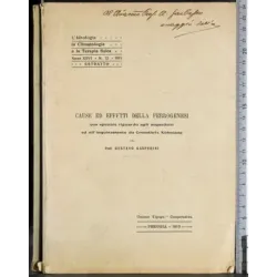 Cause ed effetti della ferrogenesi