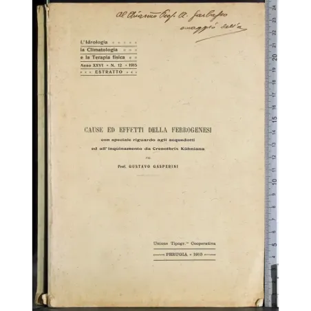 Cause ed effetti della ferrogenesi