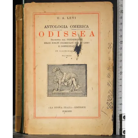 Antologia omerica. Odissea