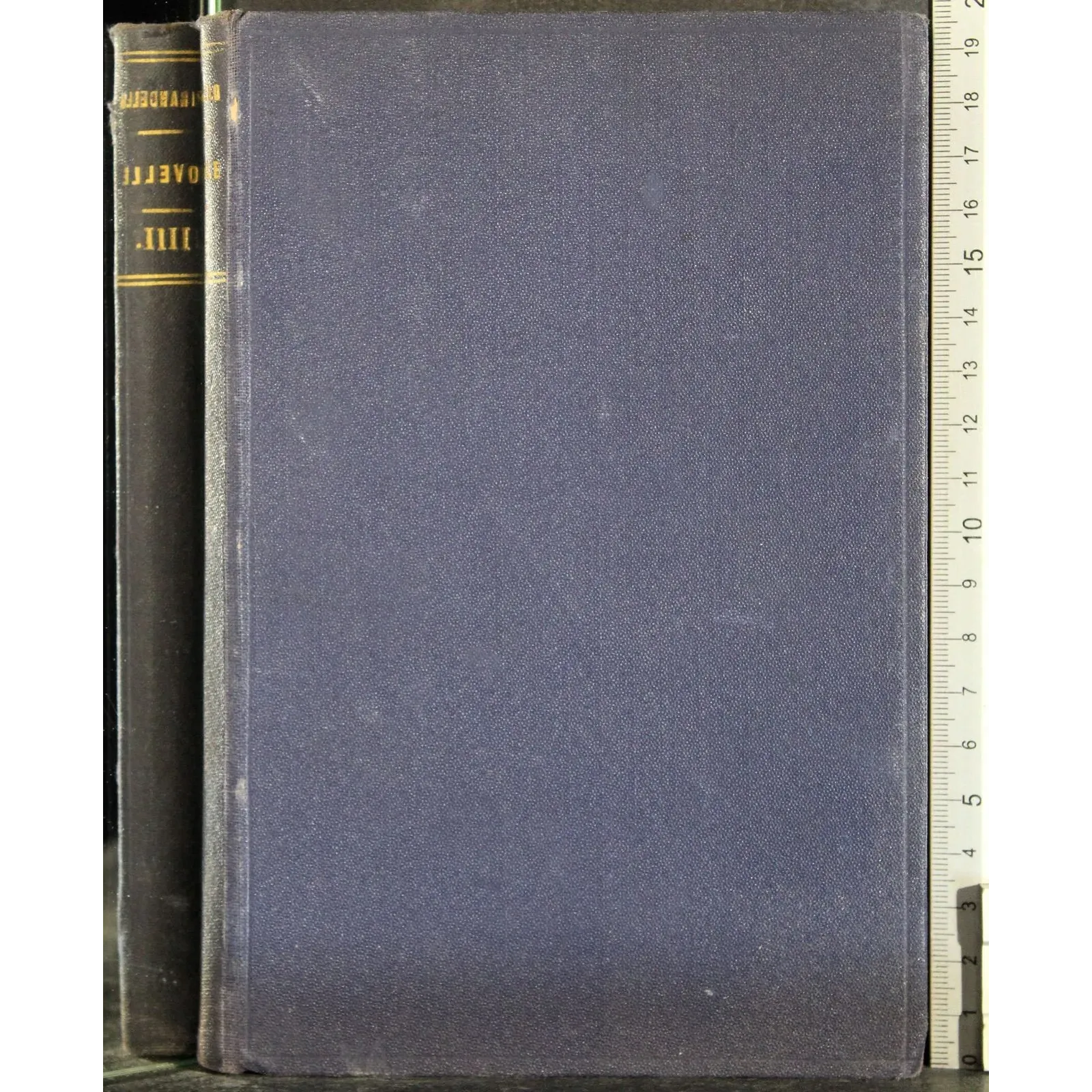 Novelle per un anno. Vol IV L'uomo solo