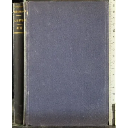 Novelle per un anno. Vol IV L'uomo solo