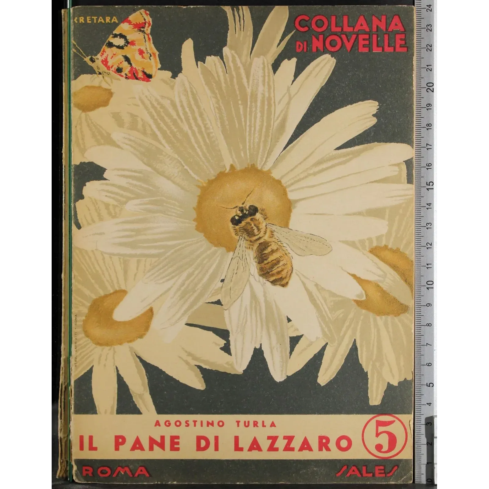 Il pane di lazzaro 5