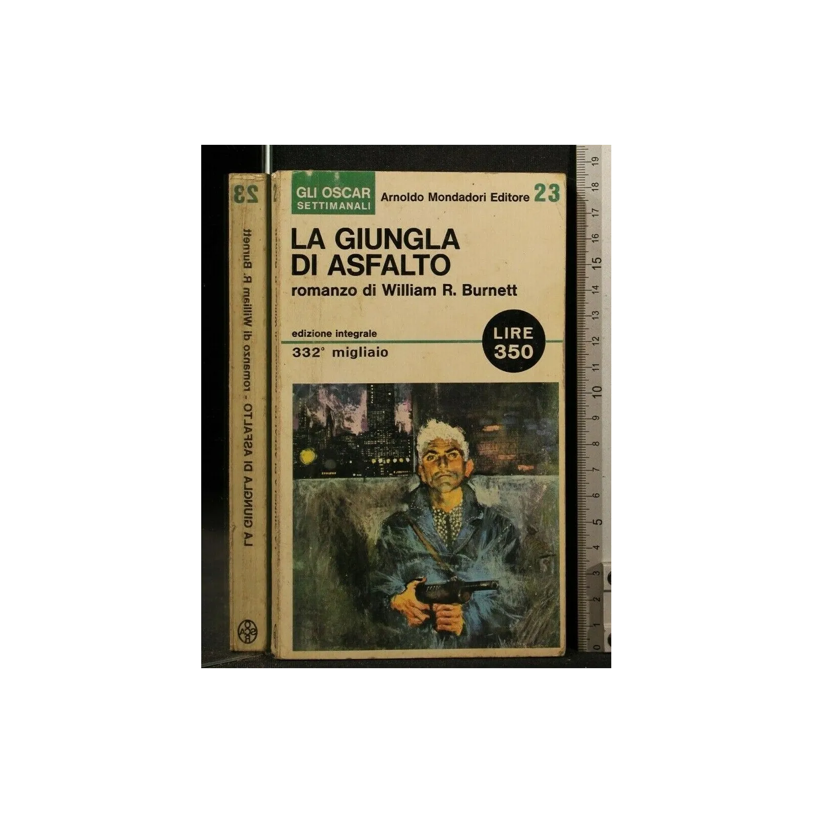 LA GIUNGLA DI ASFALTO