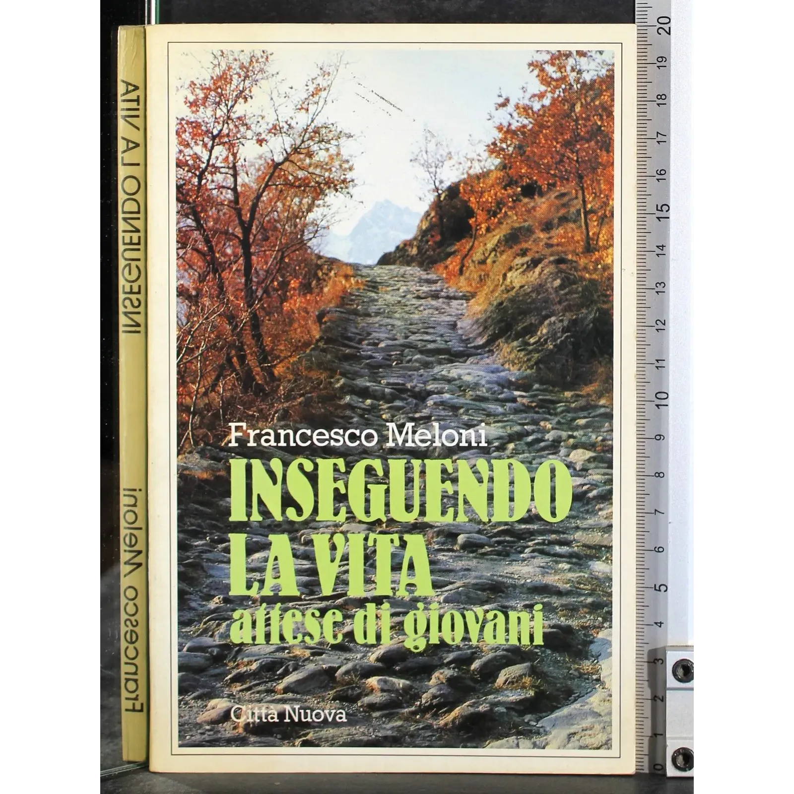 Inseguendo la vita attese di giovani