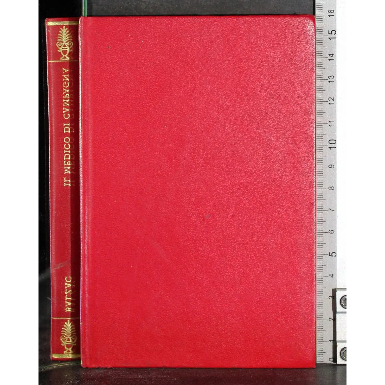 Il medico di campagna