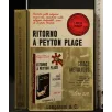 RITORNO A PEYTON PLACE