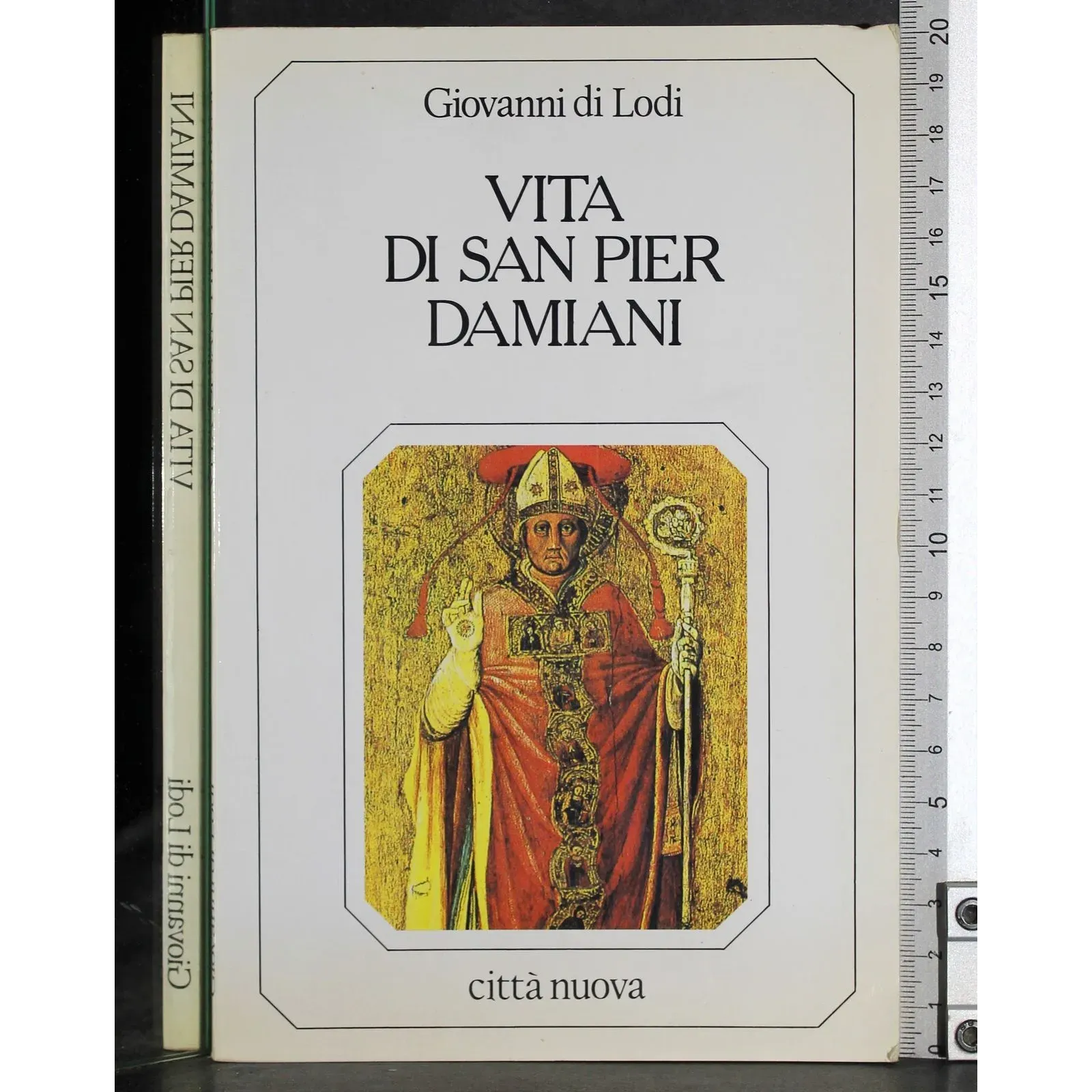 Vita di San Pier Damiani