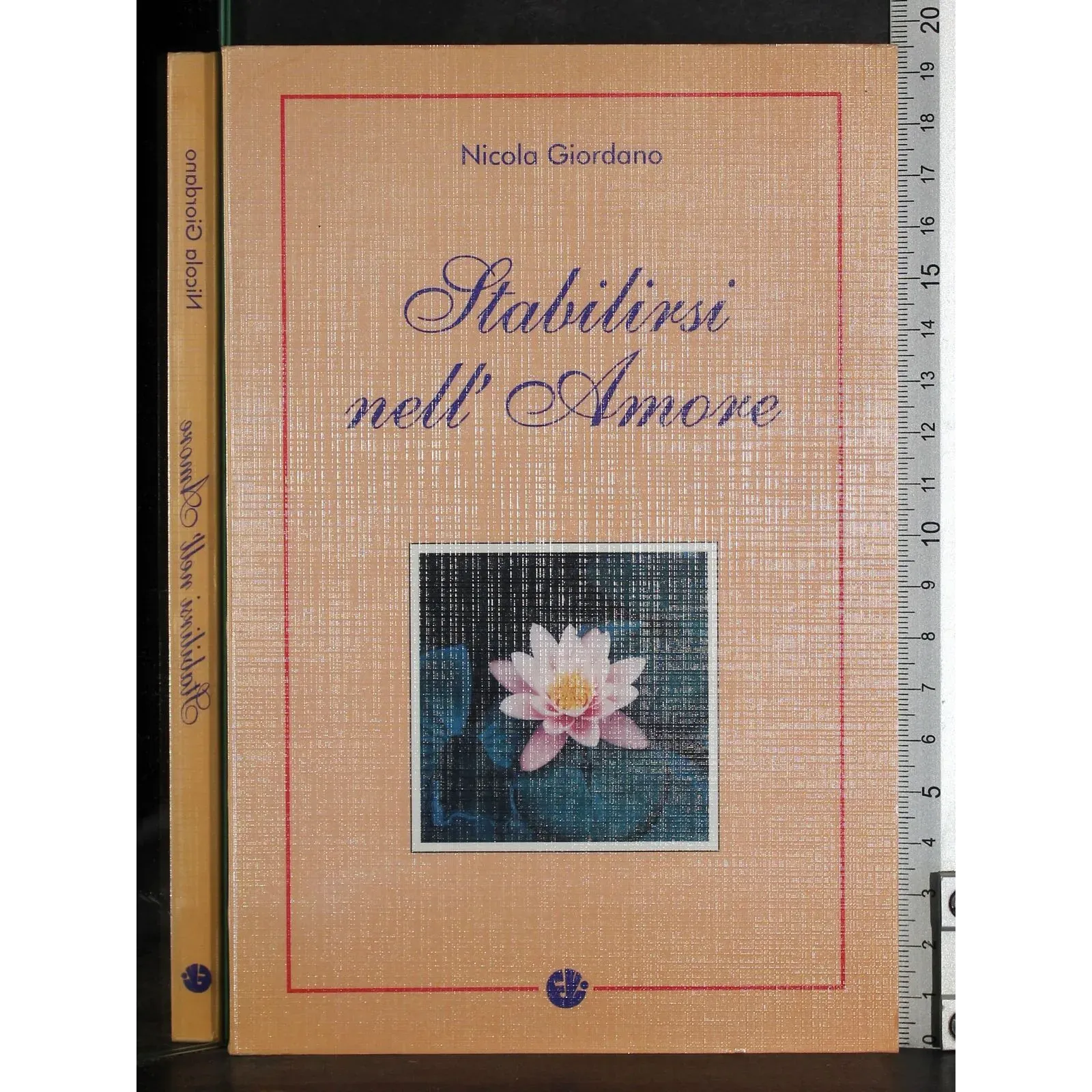 Stabilirsi nell'amore