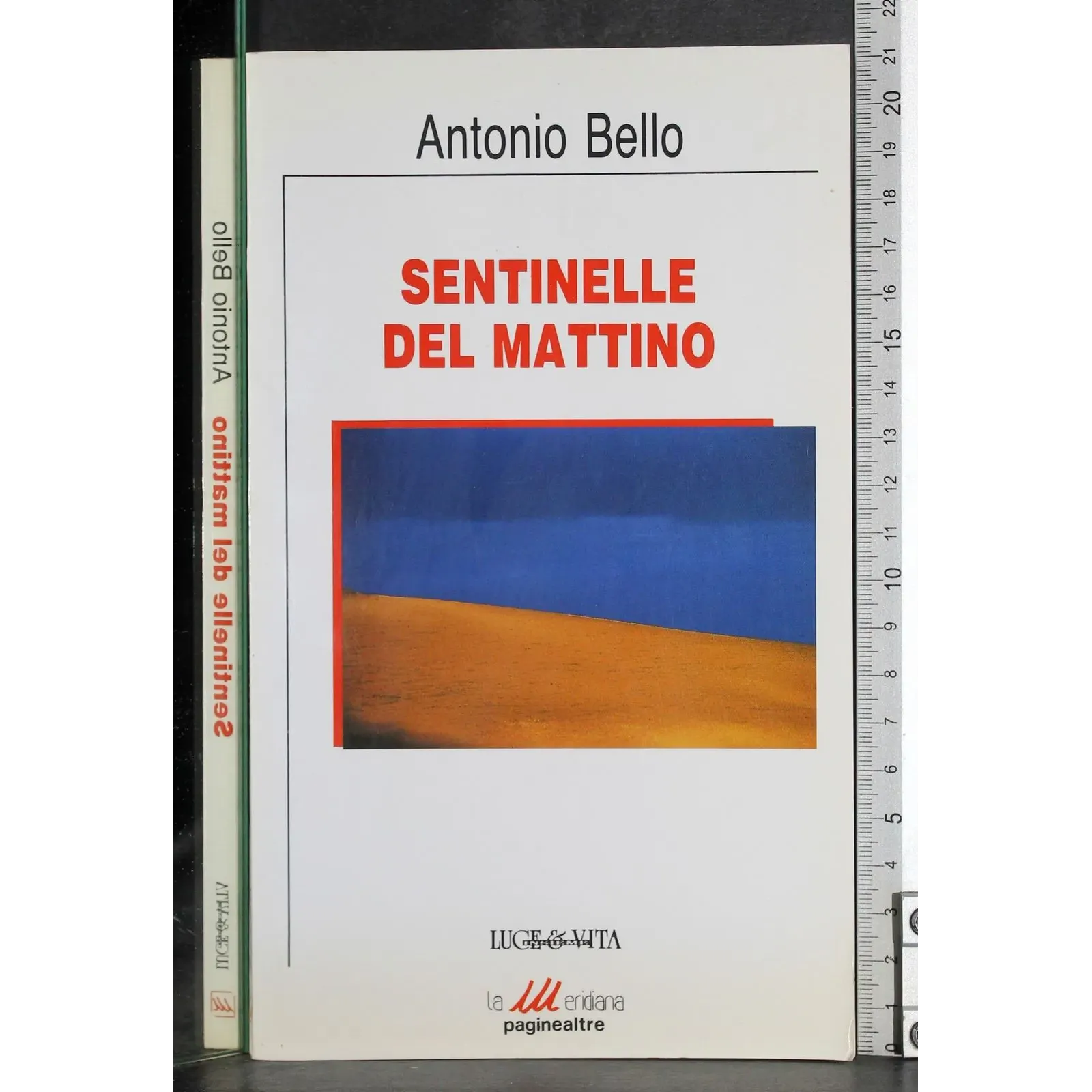 Sentinelle del mattino