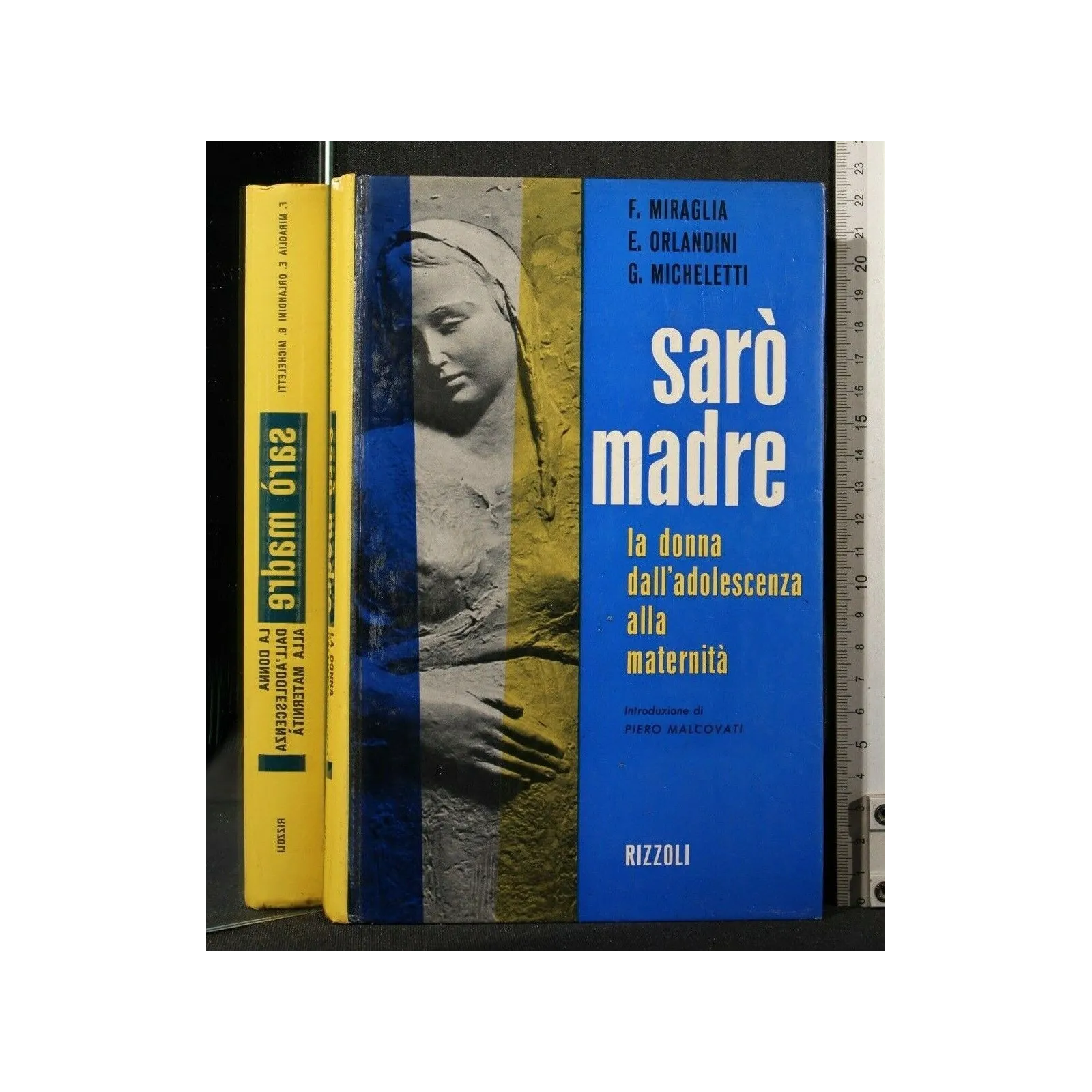 SARO' MADRE LA DONNA DALL'ADOLESCENZA ALLA MATERNITÀ