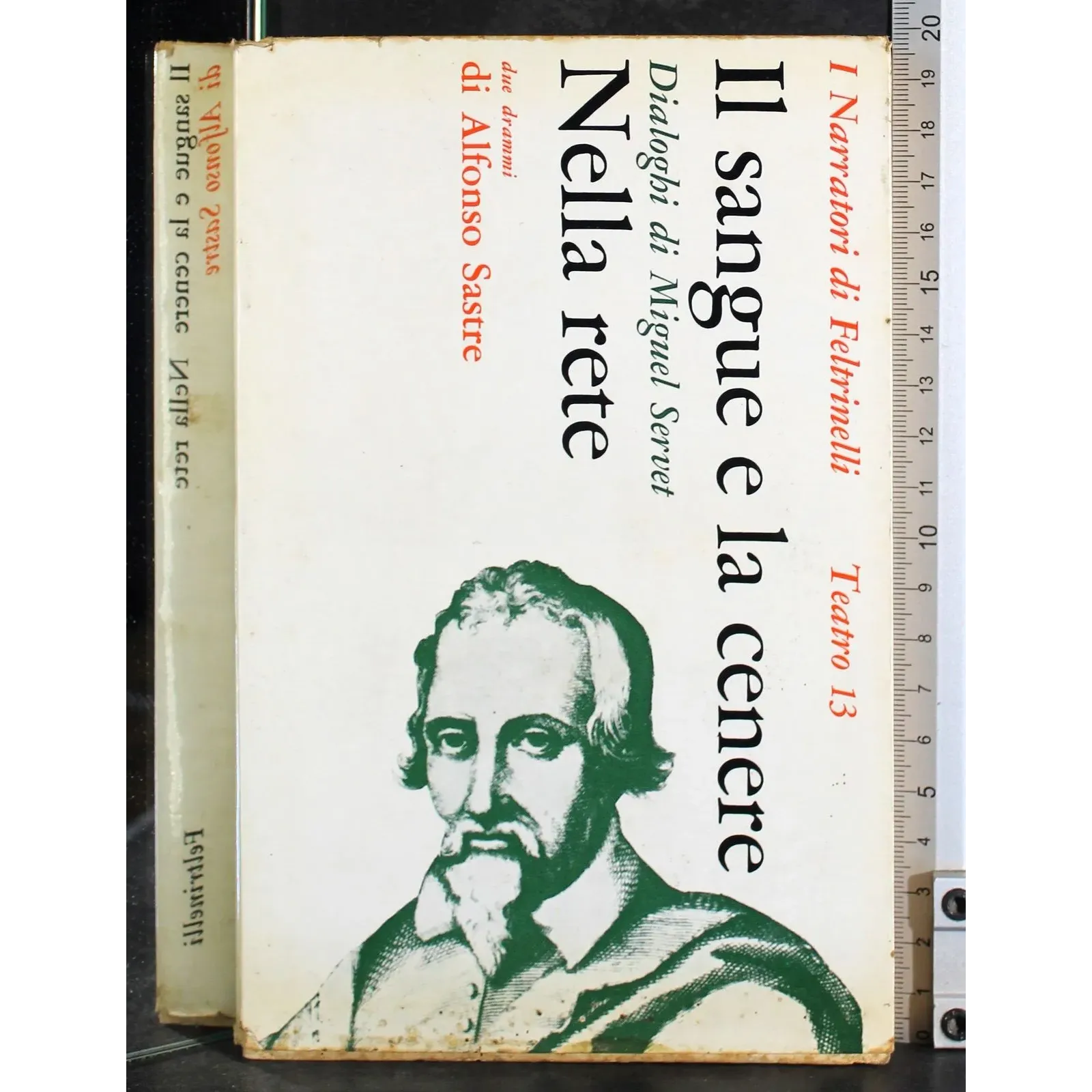 Il sangue e la cenere. Nella rete