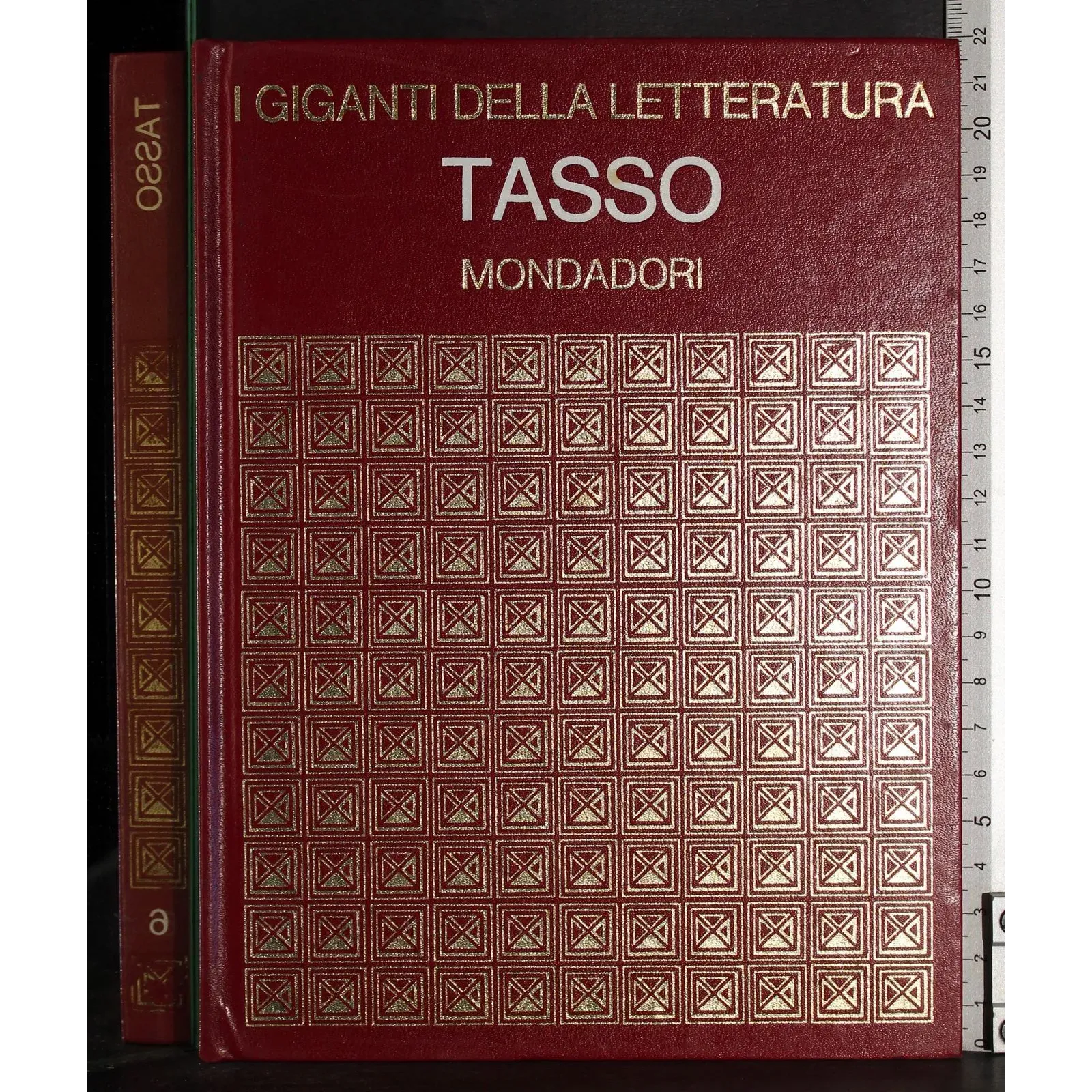 I giganti della letteratura. Tasso