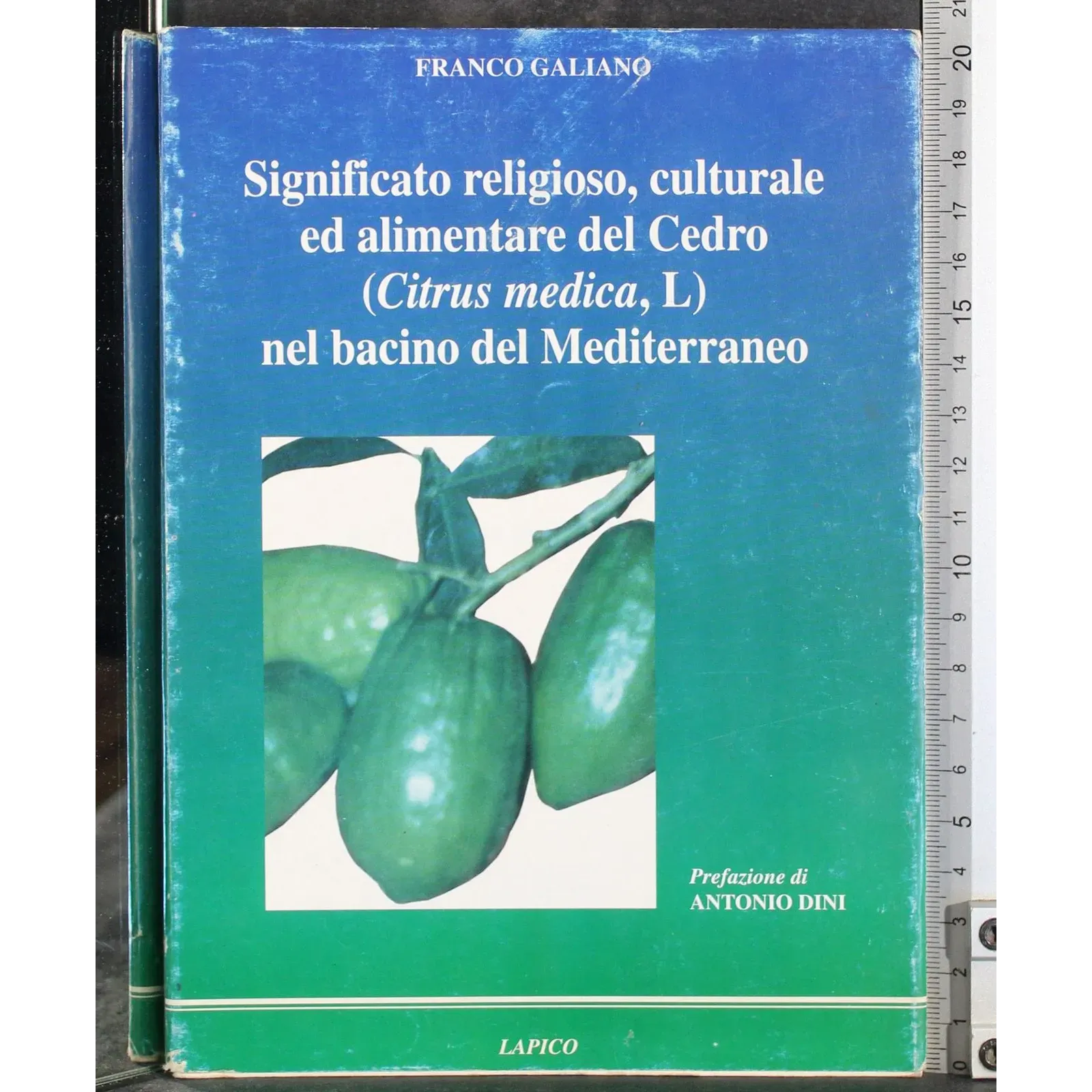 Significato religioso culturale ed alimentare del Cedro..