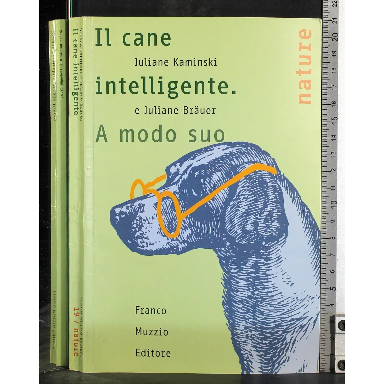 Il cane intelligente. A modo suo