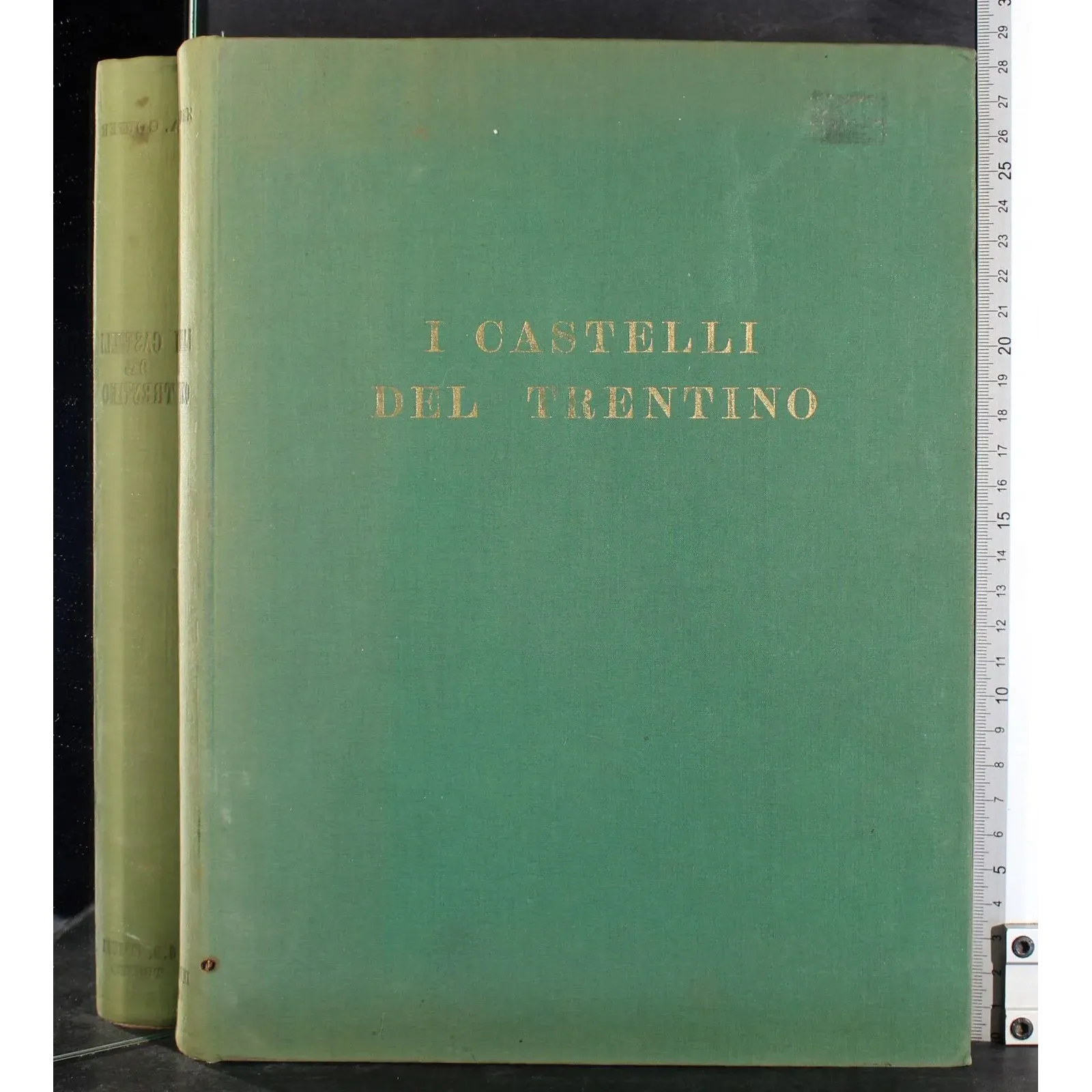 i castelli del Trentino