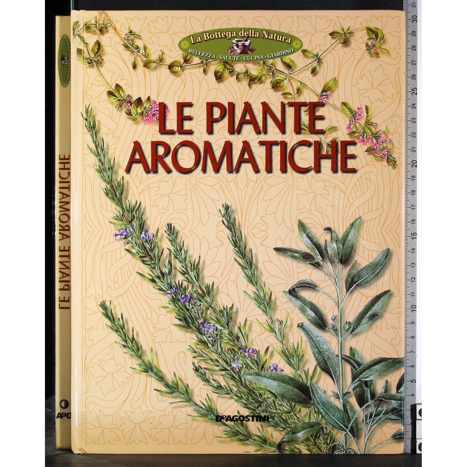 Le piante aromaatiche