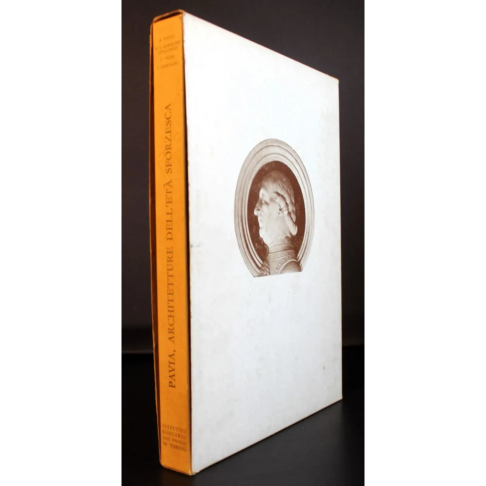 Pavia. Architetture dell'età sforzesca