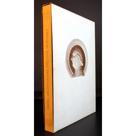 Pavia. Architetture dell'età sforzesca