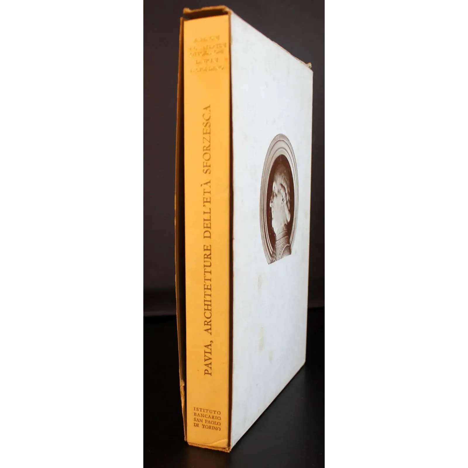 Pavia. Architetture dell'età sforzesca