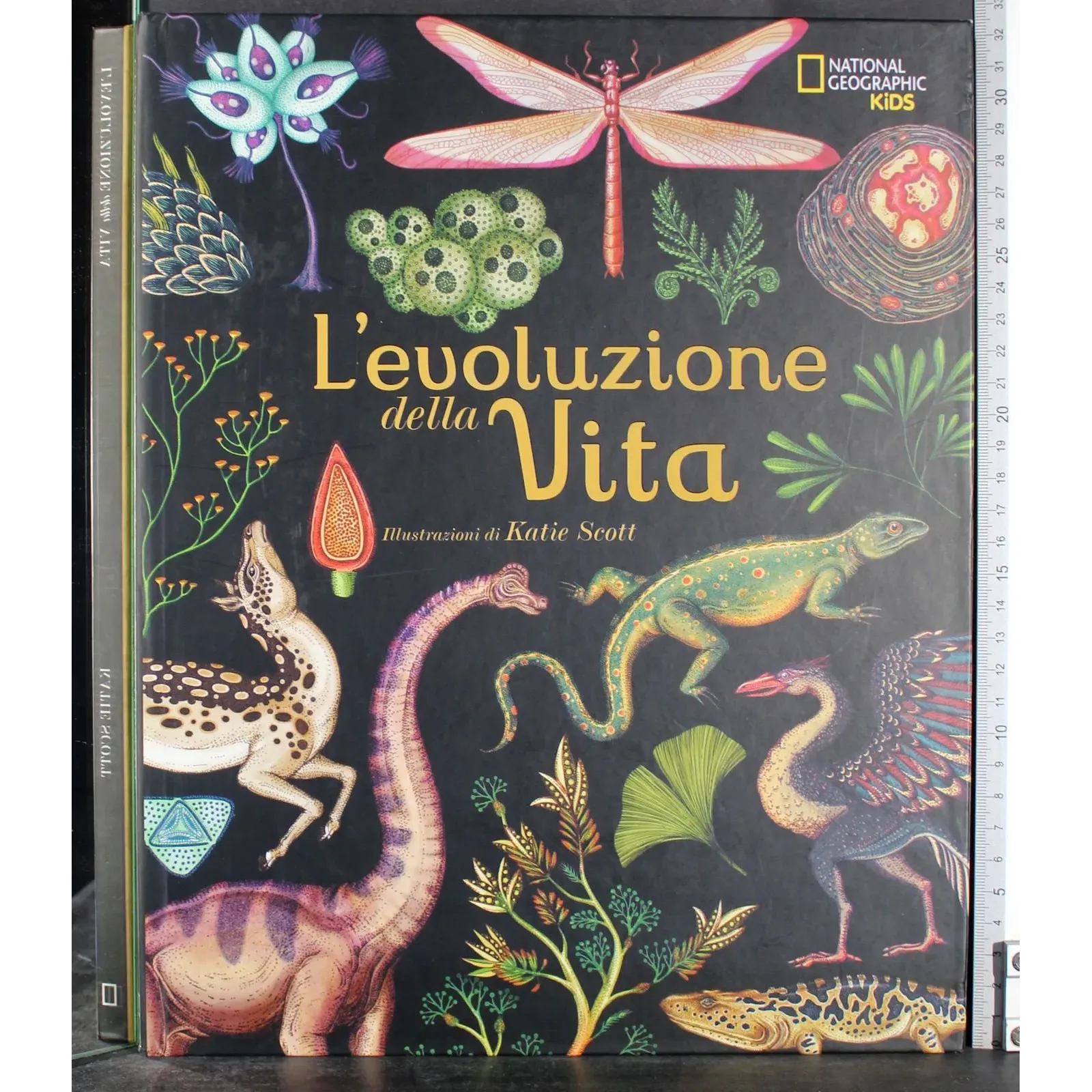 L'evoluzione della vita