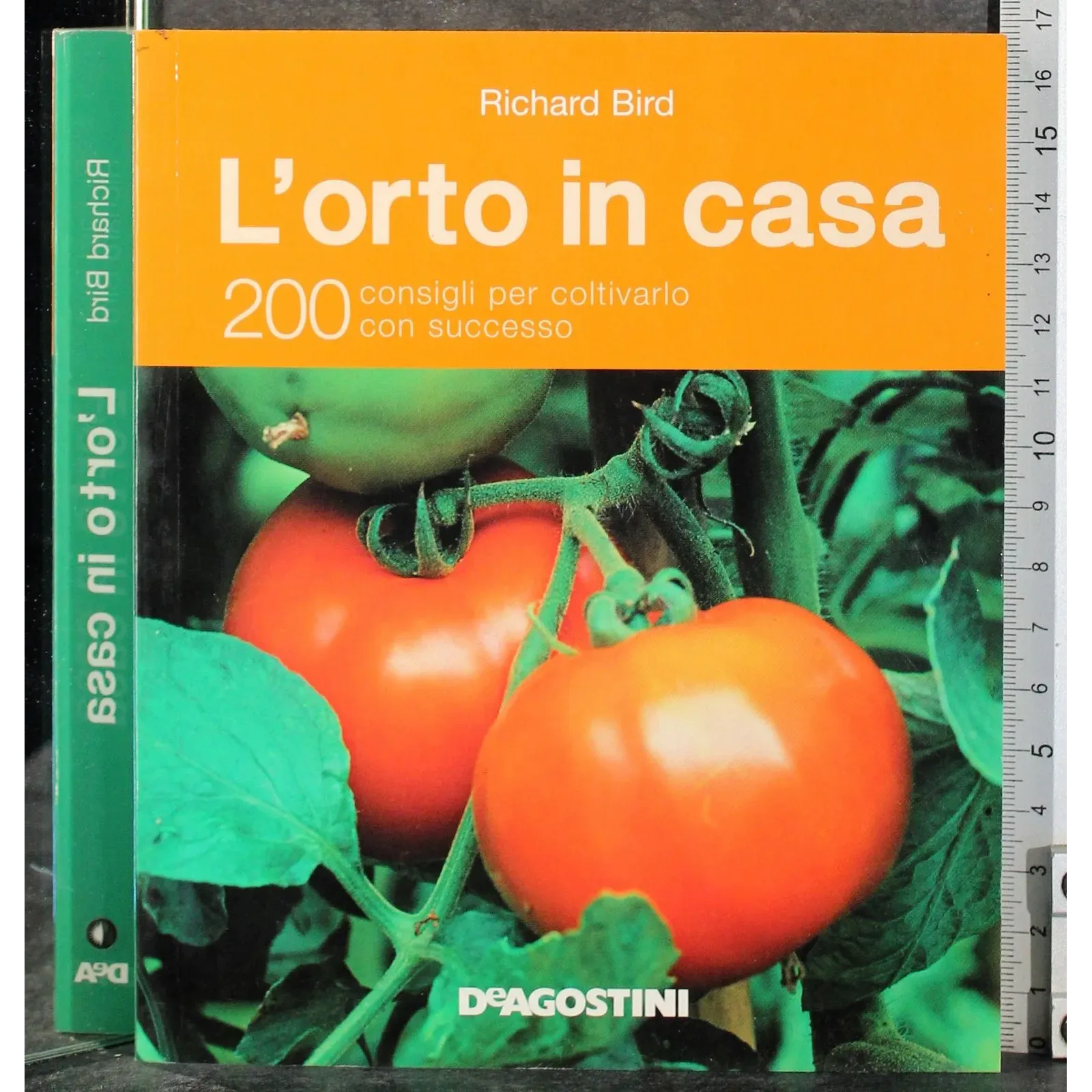 L'orto in casa