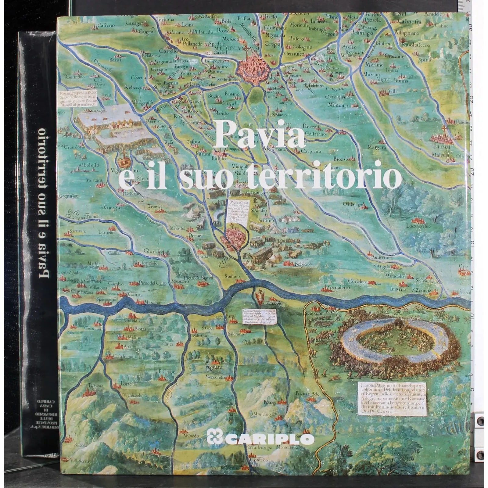 Pavia e il suo territorio