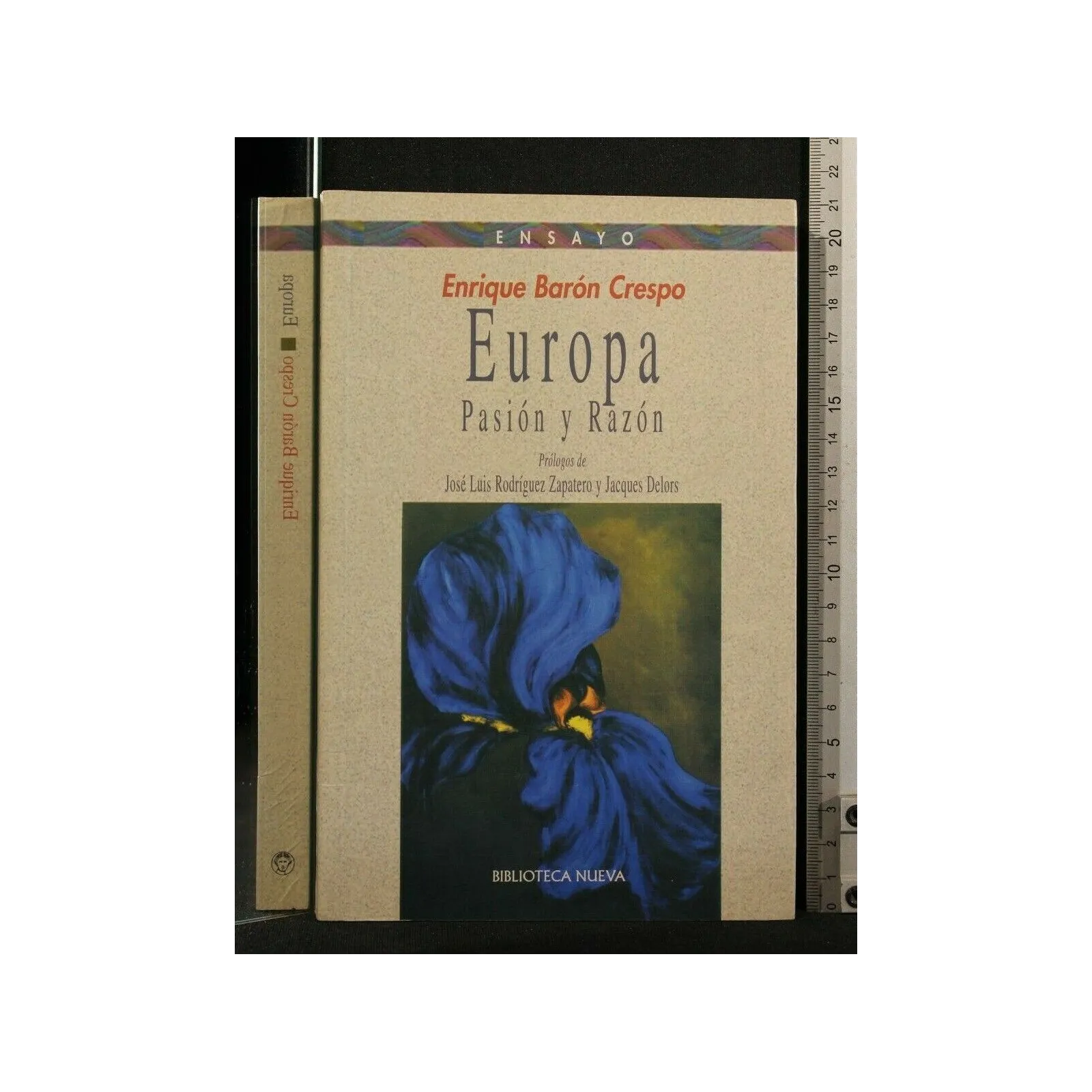 EUROPA PASION Y RAZON