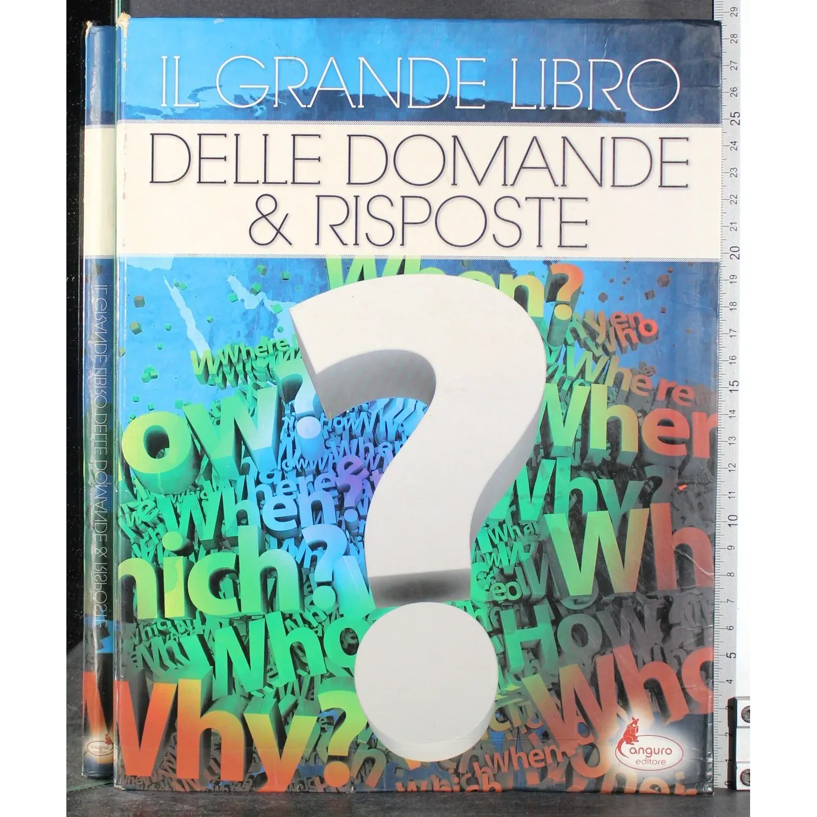 Il grande libro delle domande & risposte