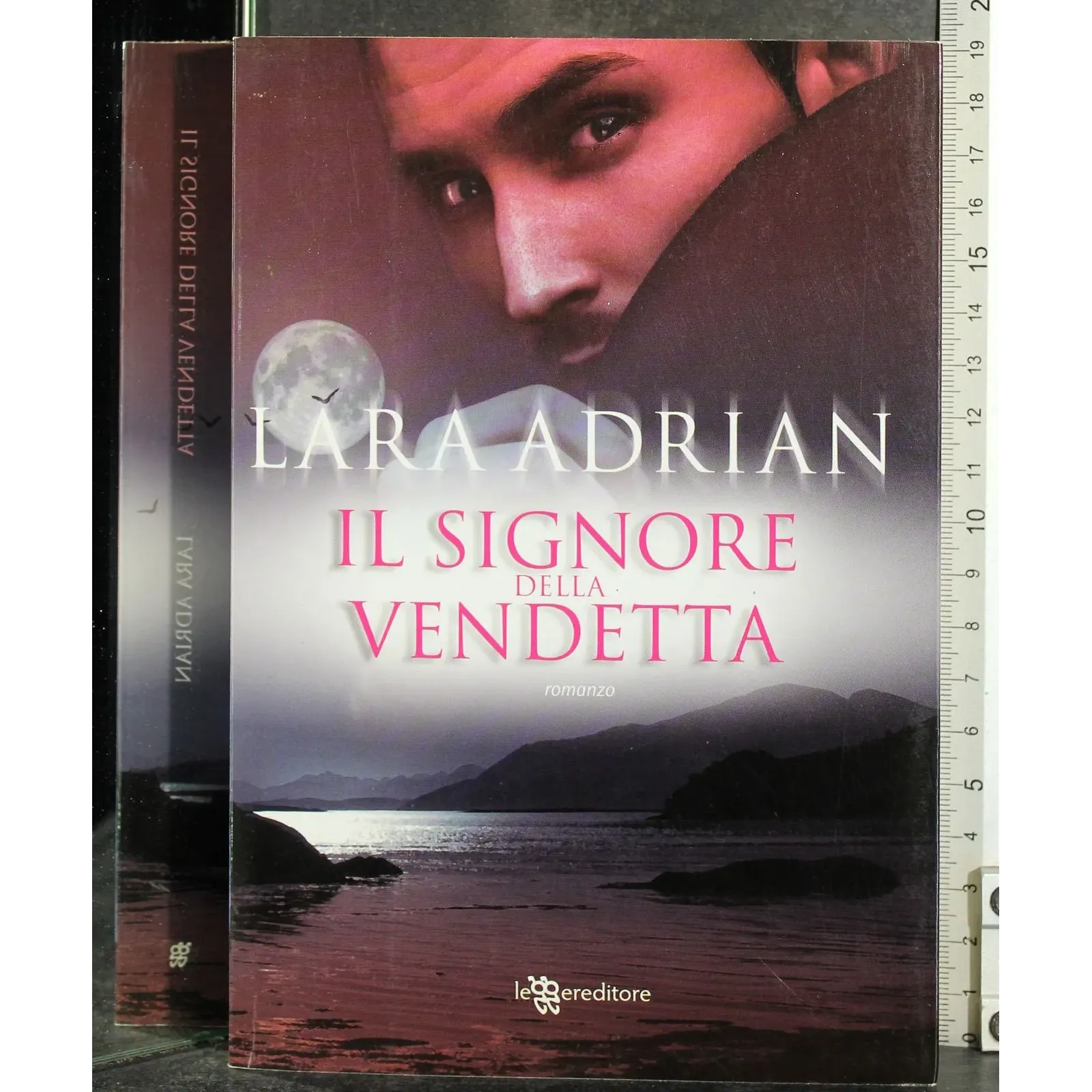 Il signore della vendetta